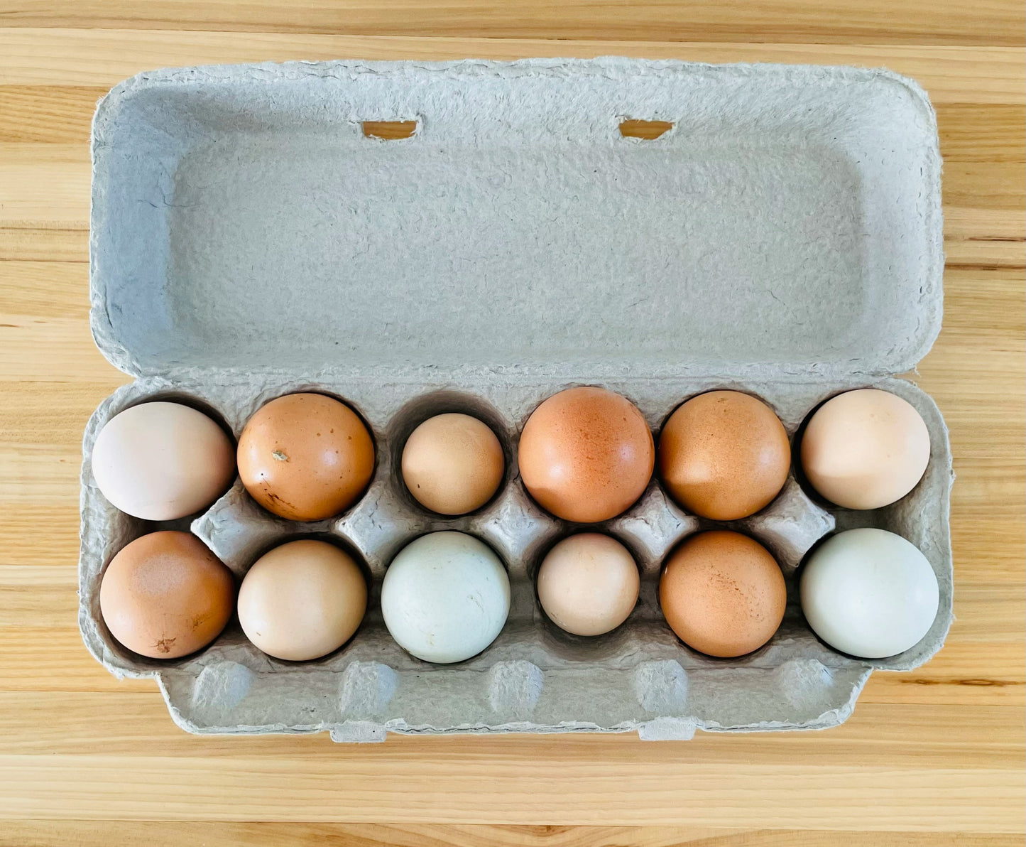 1 Dozen Eggs